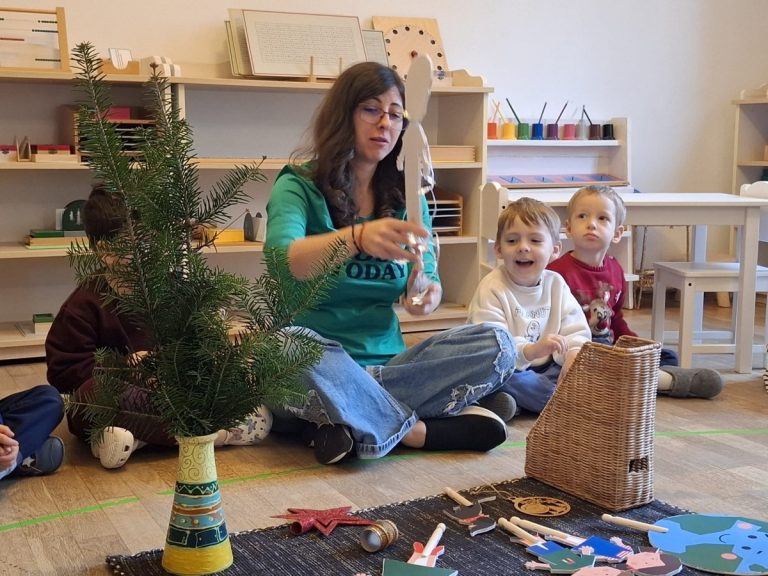 Poveste TinyGreens în jurul bradului de Crăciun